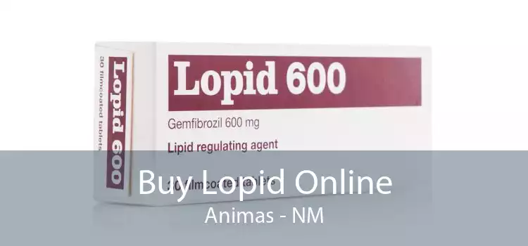 Buy Lopid Online Animas - NM
