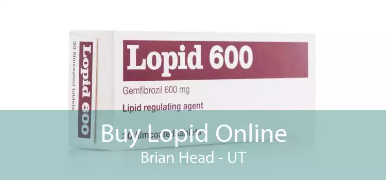 Buy Lopid Online Brian Head - UT