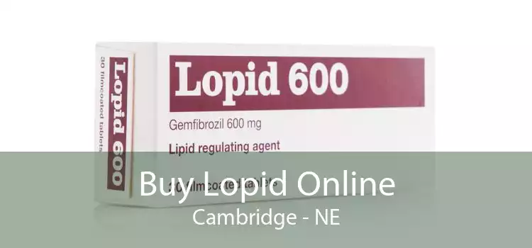 Buy Lopid Online Cambridge - NE